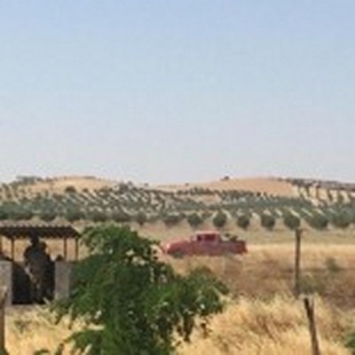 بالفيديو.. داعش يزرع الالغام بمرأى الجش التركي